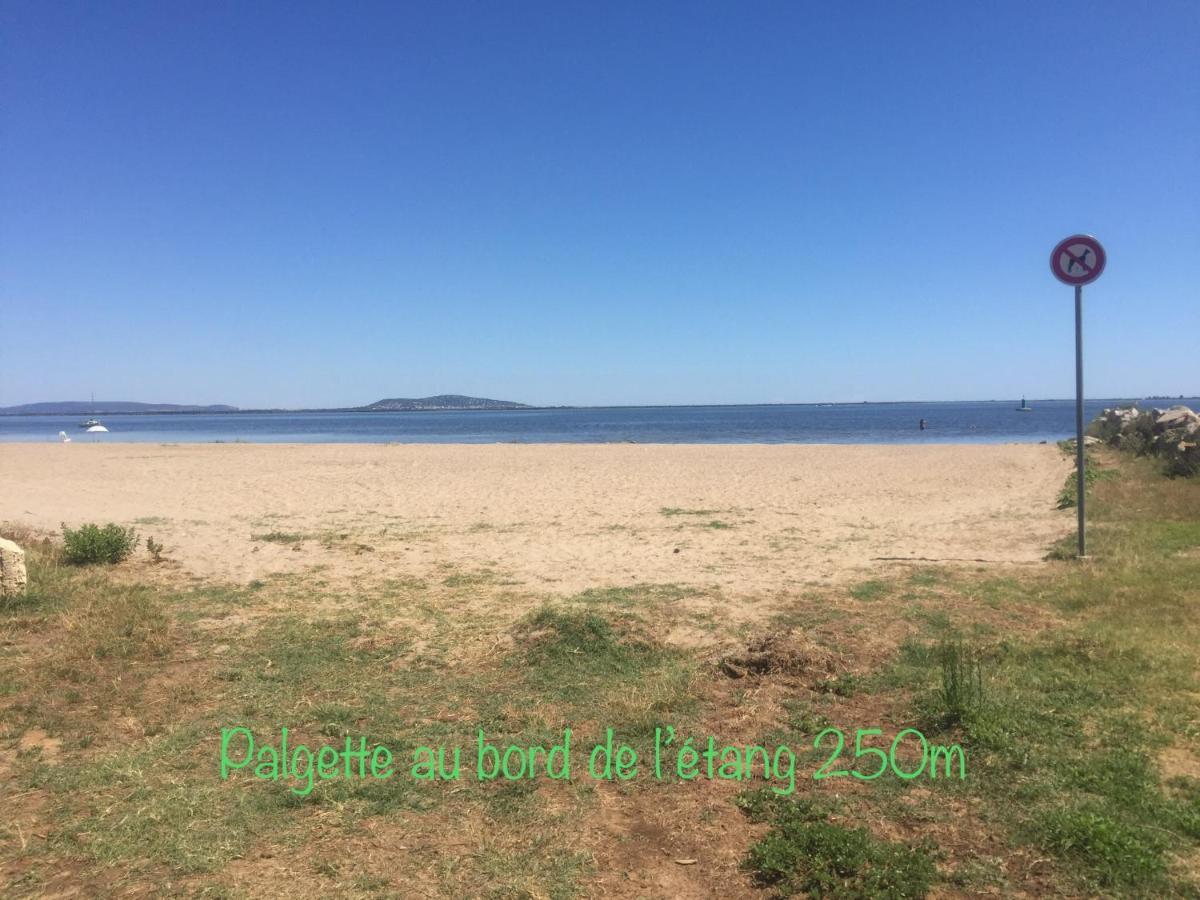 Horte Neuve Marseillan (Herault) Exterior foto