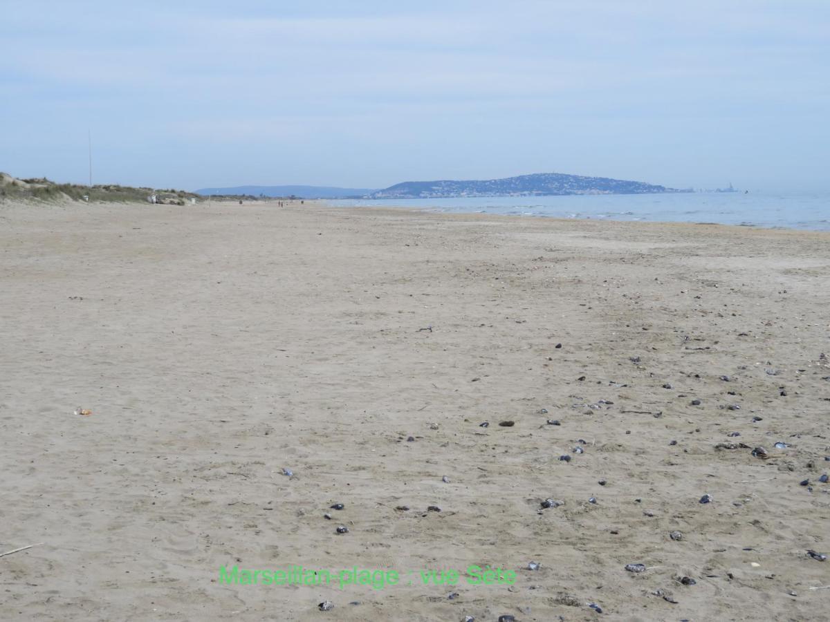 Horte Neuve Marseillan (Herault) Exterior foto